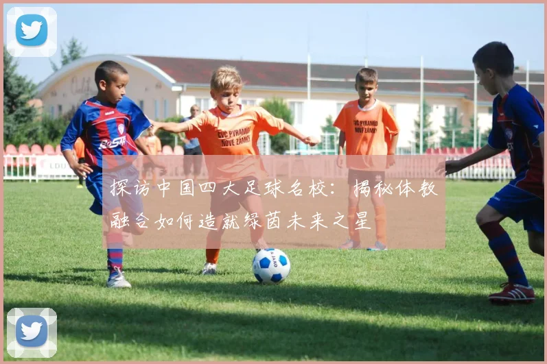 探访中国四大足球名校：揭秘体教融合如何造就绿茵未来之星